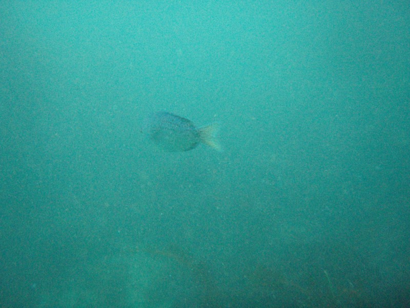 sm_p1210109.jpg