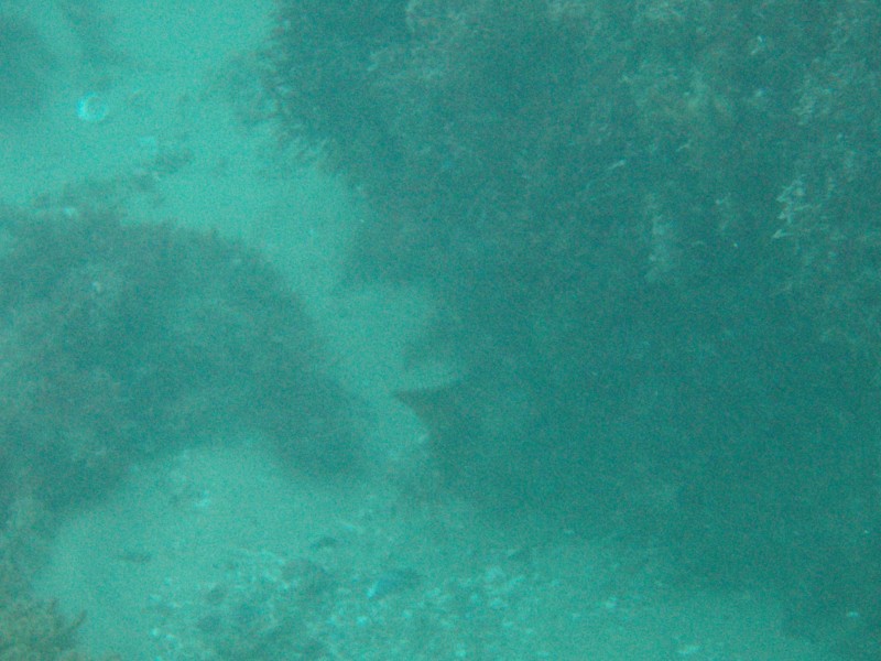 sm_p1210112.jpg