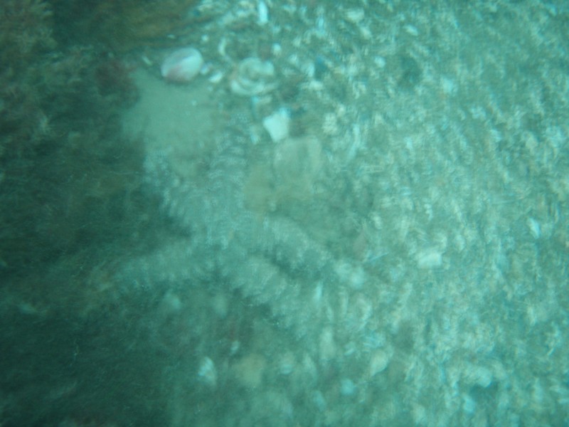 sm_p1210117.jpg