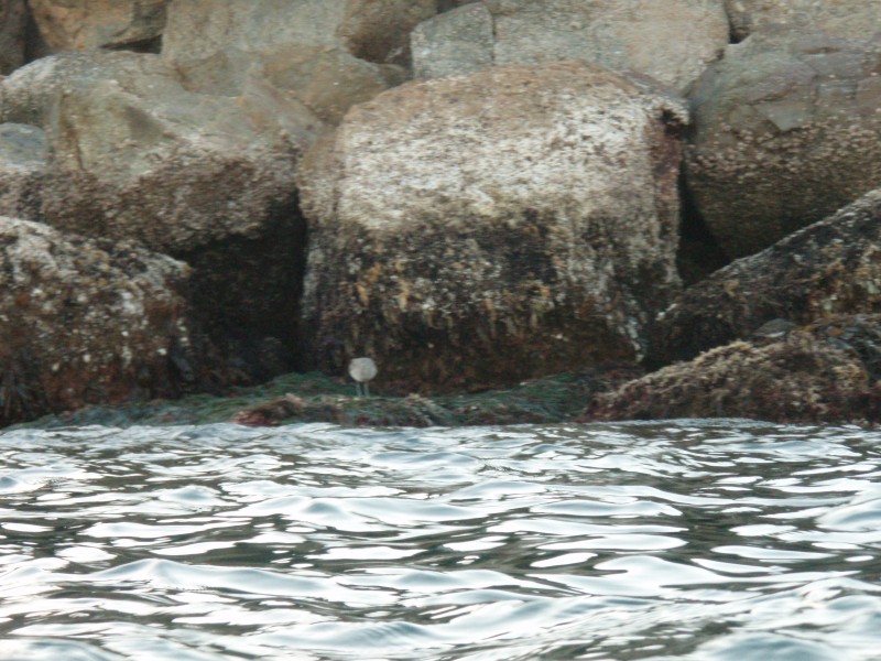 sm_p1210132.jpg