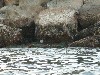 sm_p1210132.jpg