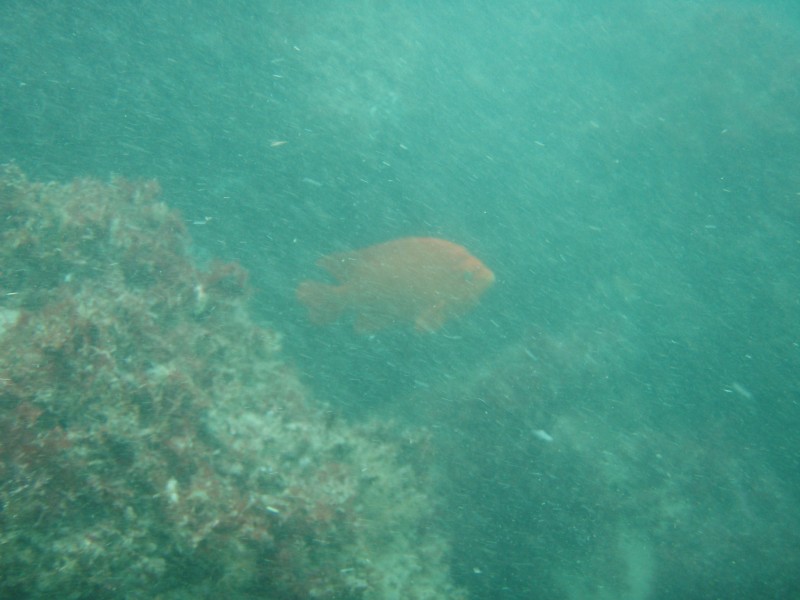 sm_p1270149.jpg