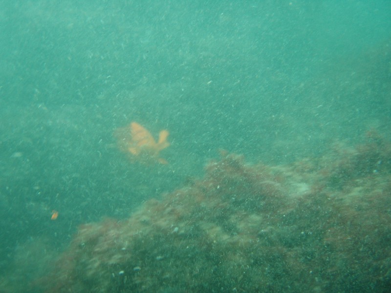 sm_p1270153.jpg