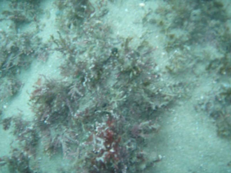 sm_p1270154.jpg