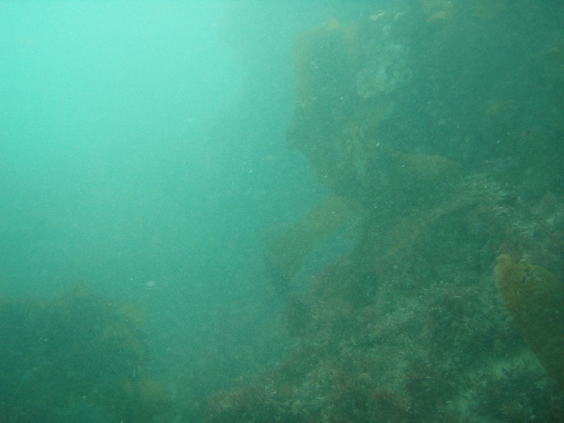 sm_p1270156.jpg