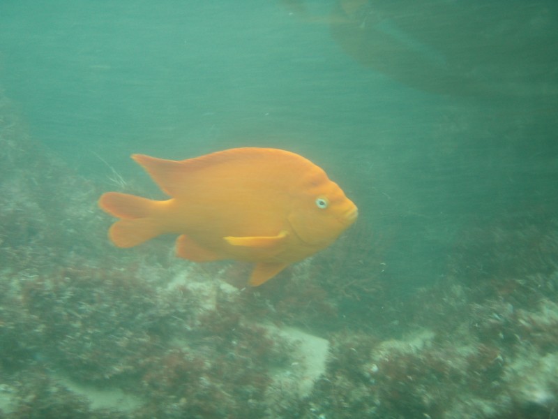 sm_p1270164.jpg