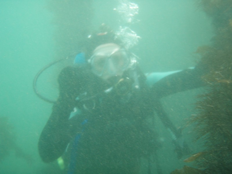sm_p1270171.jpg