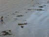sm_p1270135.jpg