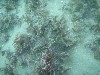 sm_p1270154.jpg