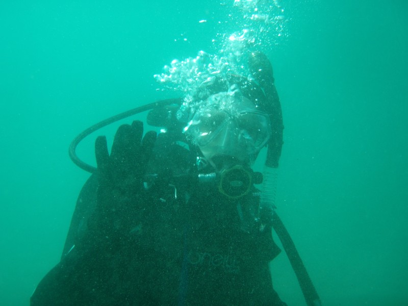 sm_p2040178.jpg