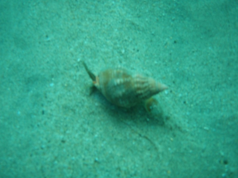 sm_p2040182.jpg