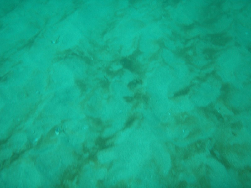 sm_p2040189.jpg