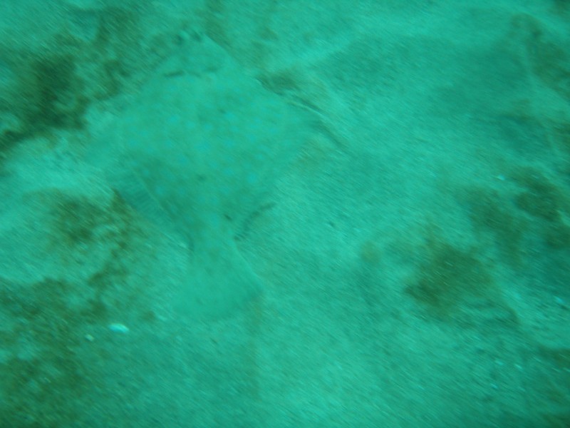 sm_p2040190.jpg