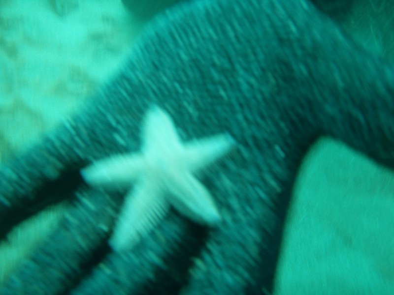 sm_p2040195.jpg