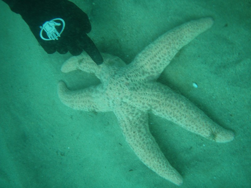 sm_p2040212.jpg
