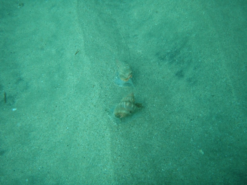 sm_p2040221.jpg