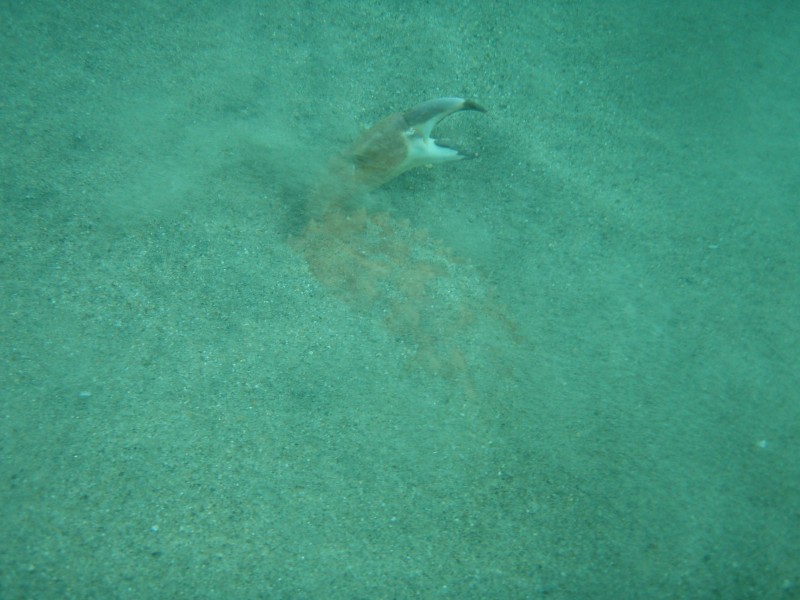 sm_p2040223.jpg