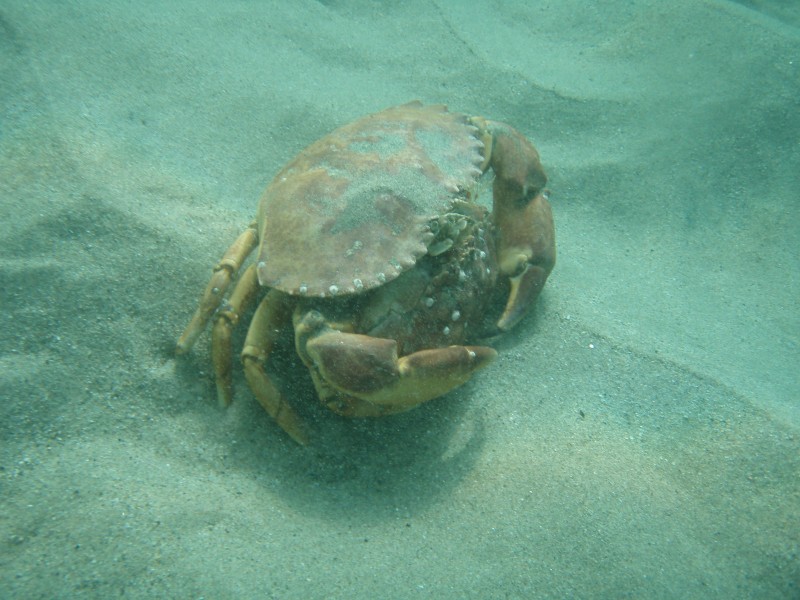 sm_p2040225.jpg