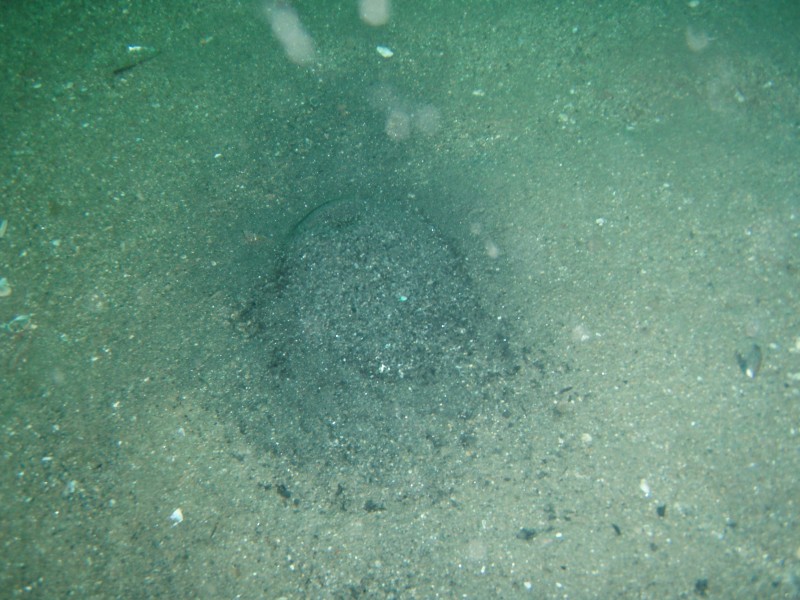 sm_p2040239.jpg