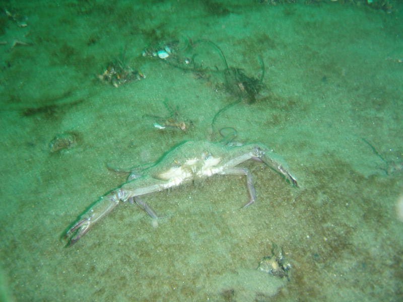 sm_p2040258.jpg