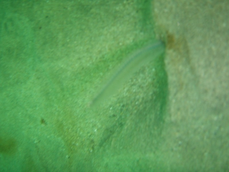 sm_p2040262.jpg
