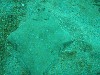 sm_p2040192.jpg