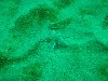 sm_p2040197.jpg