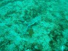 sm_p2040199.jpg