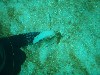 sm_p2040205.jpg