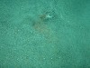 sm_p2040223.jpg
