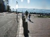 sm_p2040235.jpg