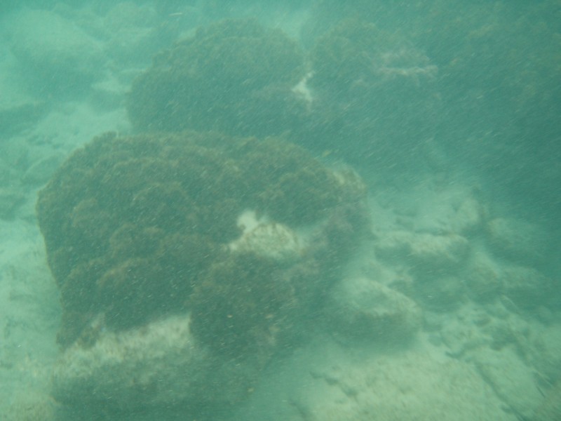 sm_p2100005.jpg