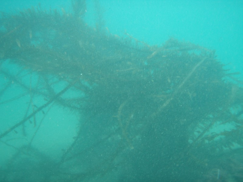 sm_p2100006.jpg