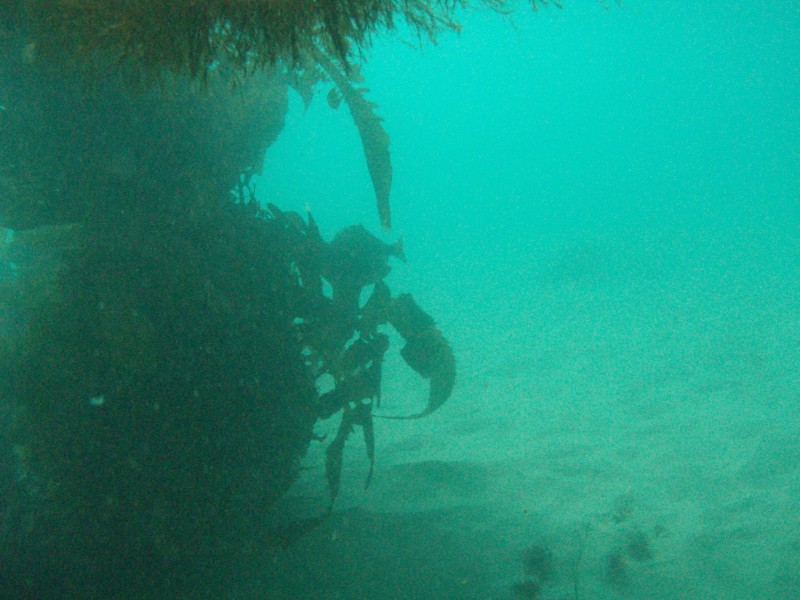 sm_p2100010.jpg