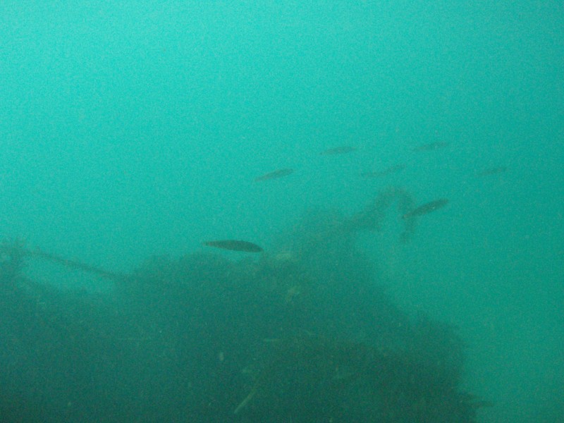 sm_p2100011.jpg