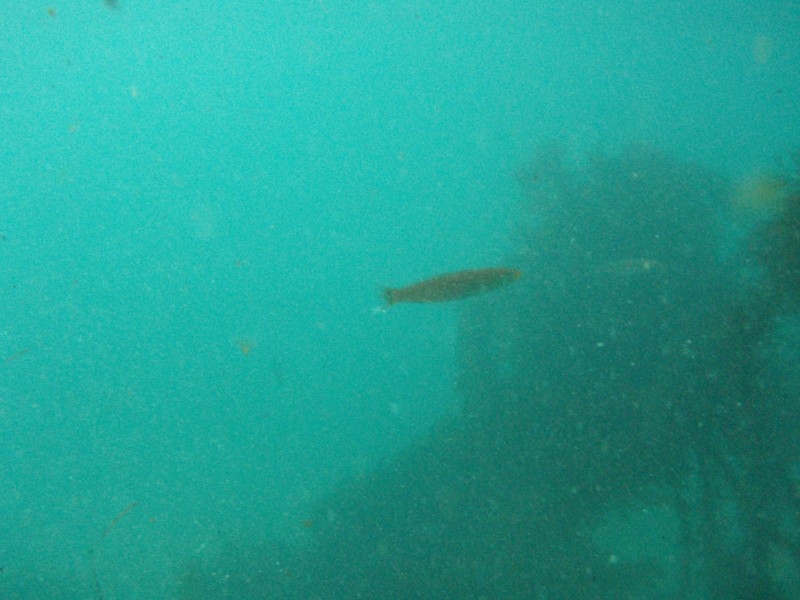 sm_p2100012.jpg