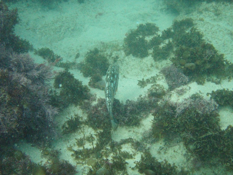 sm_p2100013.jpg
