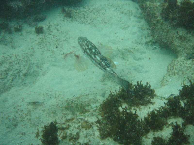 sm_p2100014.jpg