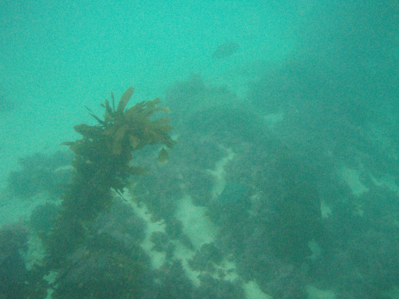 sm_p2100015.jpg