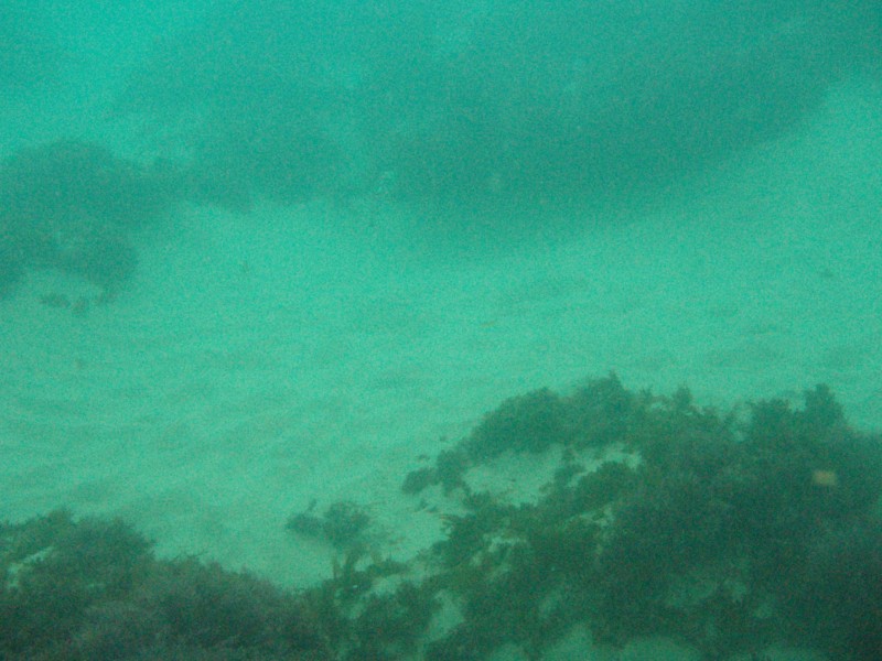 sm_p2100016.jpg