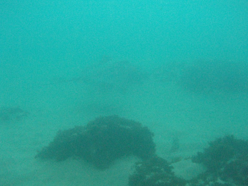 sm_p2100017.jpg