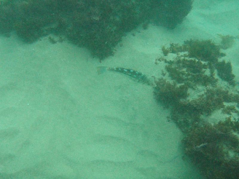 sm_p2100018.jpg