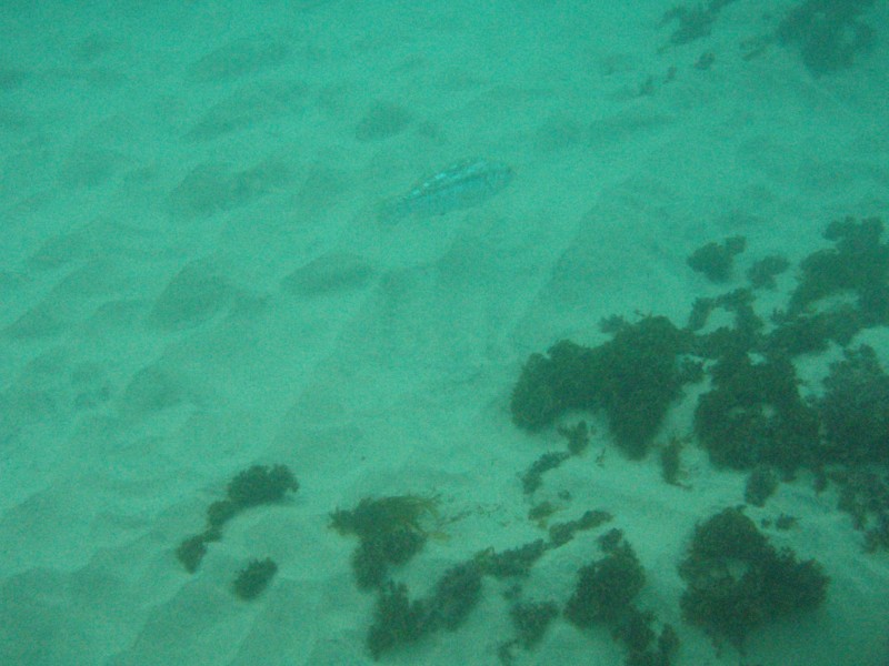 sm_p2100019.jpg