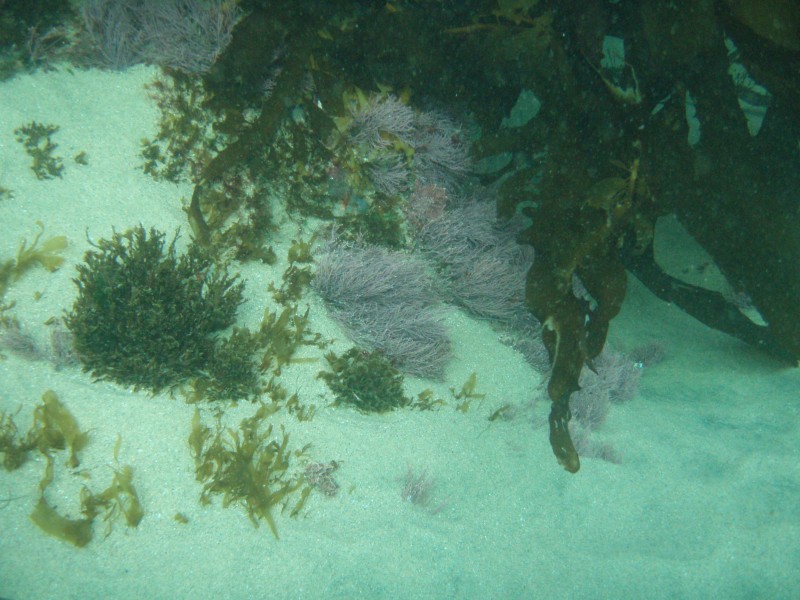 sm_p2100027.jpg