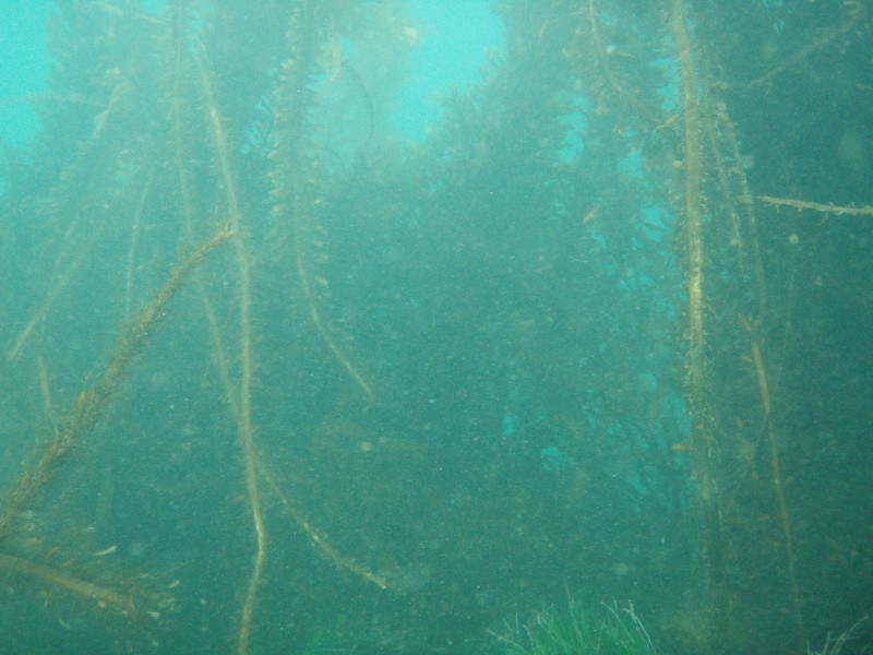sm_p2100028.jpg