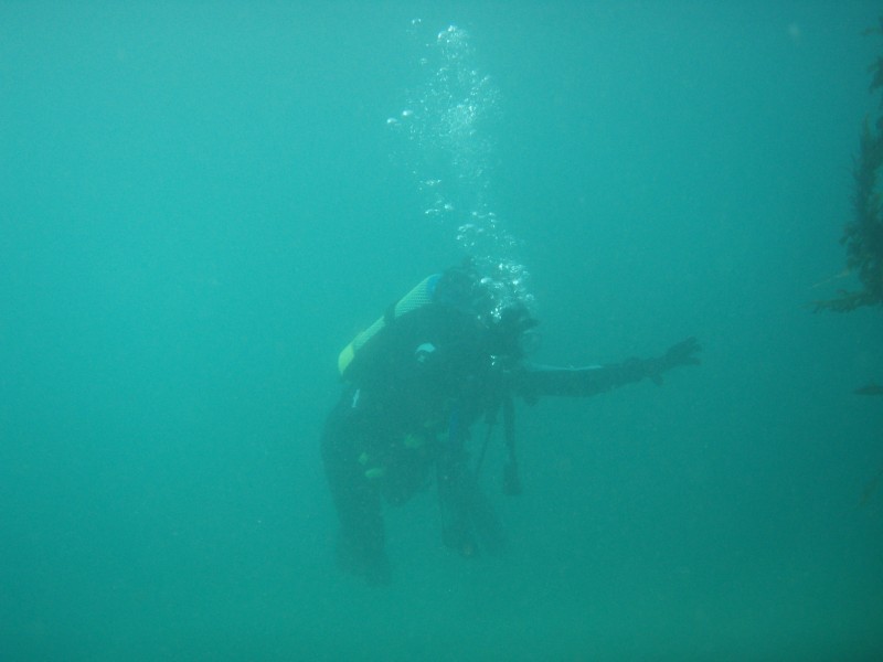 sm_p2100029.jpg