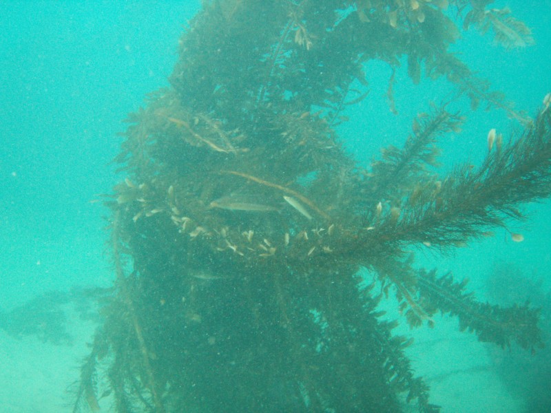 sm_p2100030.jpg