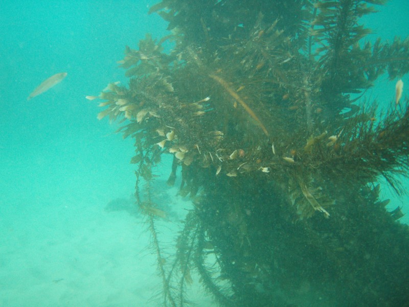 sm_p2100031.jpg