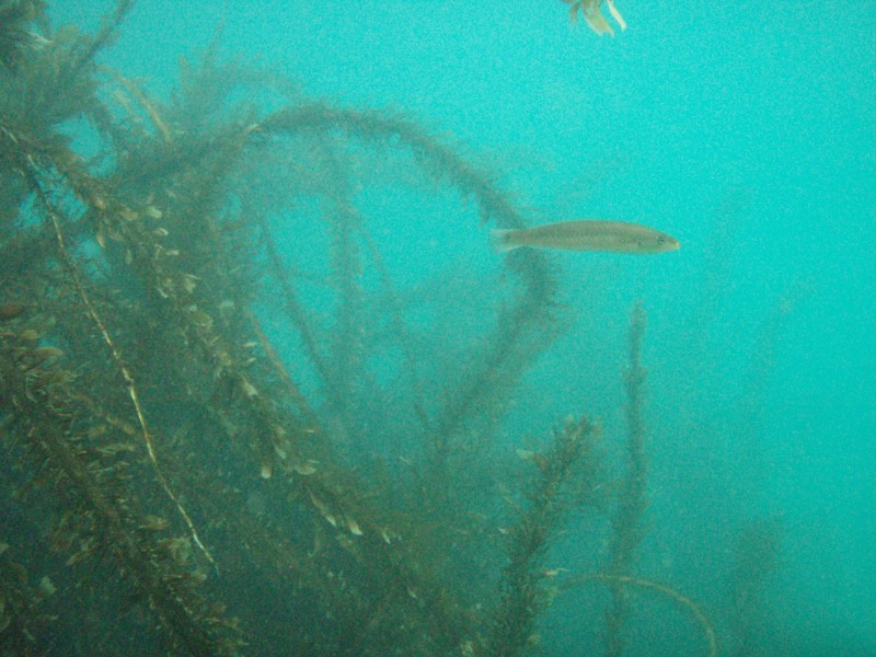 sm_p2100032.jpg
