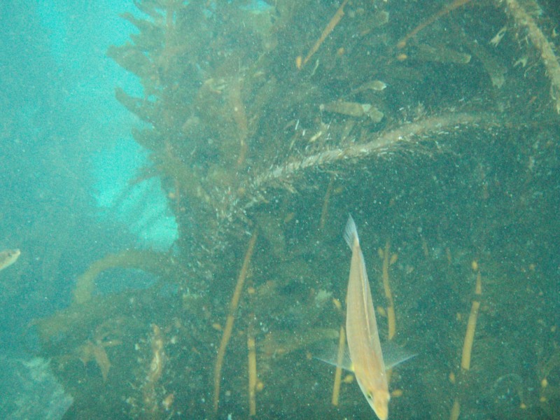 sm_p2100033.jpg